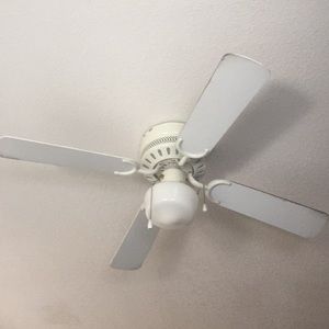 Meet your Posher, Daniela